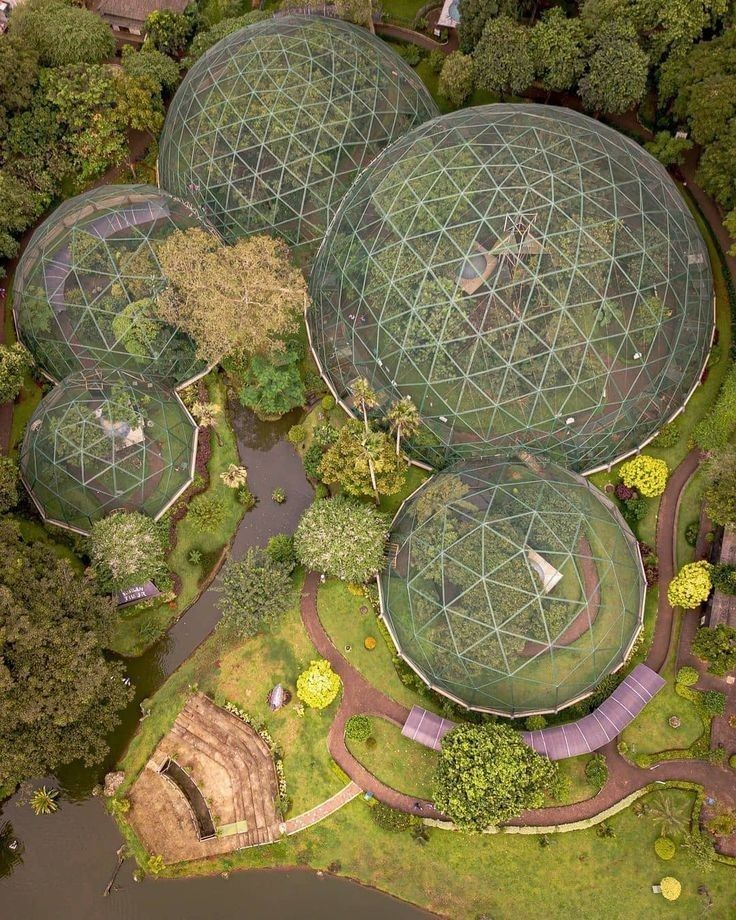 Futuristic organic architecture woven into a lush jungle canopy